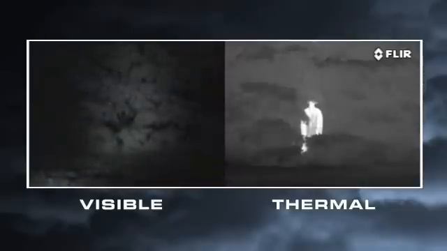 Criminally Stupid смотреть онлайн