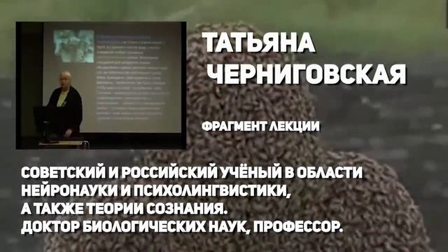 ПЧЁЛЫ   ЧТО МЫ О НИХ ЗНАЕМ  топ удивительных фактов  КРАМОЛА