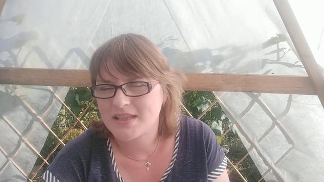 Отвечаю на ваши вопросы. Какой лучше использовать Осмокот смотреть онлайн