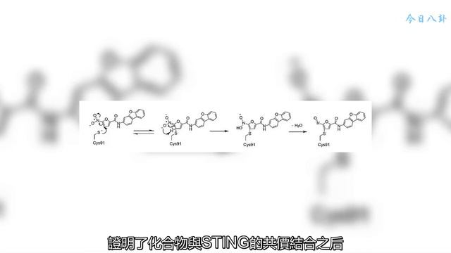 我不是神藥，我只是發表在Nature上的神奇小分子