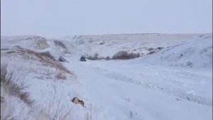 Toyota land cruiser 105