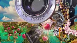 Сады Придонья. Память Мичурина.