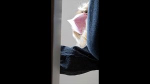 Русский женский уход в Барселоне