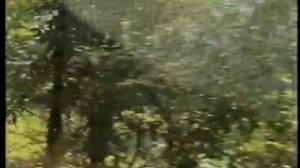 Старая дорога на Красную поляну 1999 год