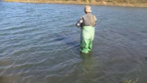 Ловля раков на раколовки2(приманка дыня)