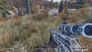 Fallout 76 : Карта Сокровищ Дикого Рубежа 10