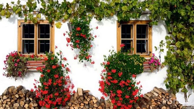 Медитация «Прощение родителей» смотреть онлайн