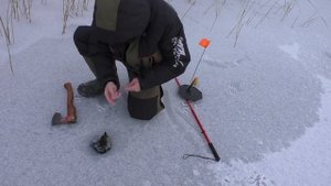 ЭТО НЕВОЗМОЖНО!! Начали проверять жерлицы и не поверили своим глазам!!! Первый лёд 2021-22.