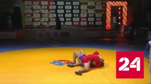Самбисты России стали победителями общего зачета Кубка мира - Россия 24