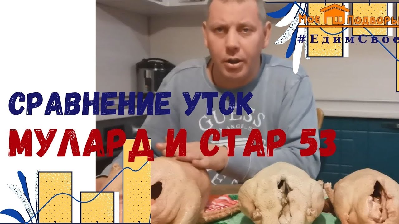 Мясо утки: МУЛАРД и СТАР 53.  "Мое Подворье"