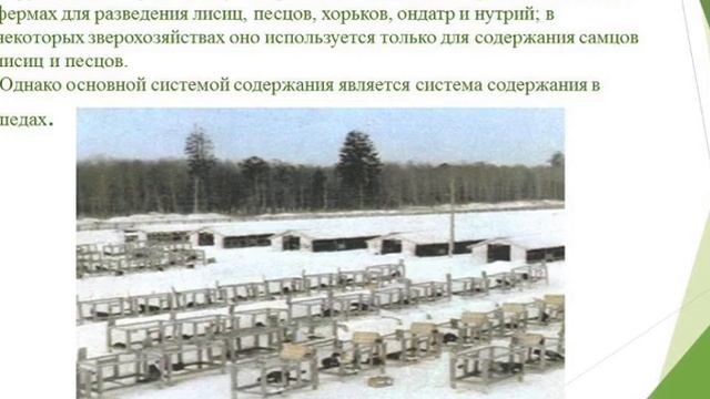 Системы и способы содержания пушных зверей смотреть онлайн