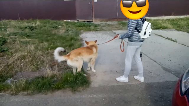 #Автоволонтеры_НижнийТагил #Одинденьизжизни