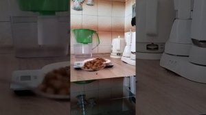 Норма еды кошке - 60 г в день. Сколько это? Если нет весов.