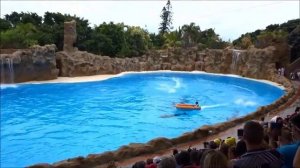 Tenerife Loro parque (Лоро парк) Шоу дельфинов