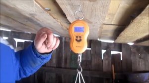 ВЗВЕШИВАЕМ КРОЛИКОВ ОБЕР В 4 МЕСЯЦА!