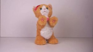 Игривый котенок Дейзи Furreal Friends Daisy