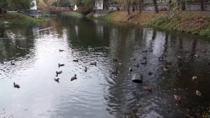 Харитоновский парк Екатеринбург