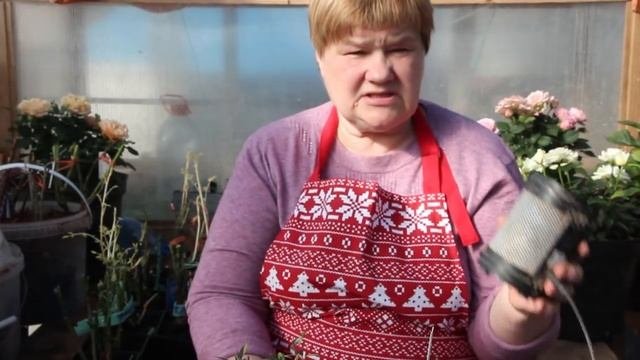 Кто Съел мою Рассаду? Как Защитить Рассаду.