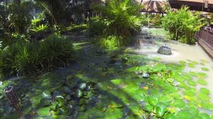 PATTAYA : Review of AVANI Resort and Spa