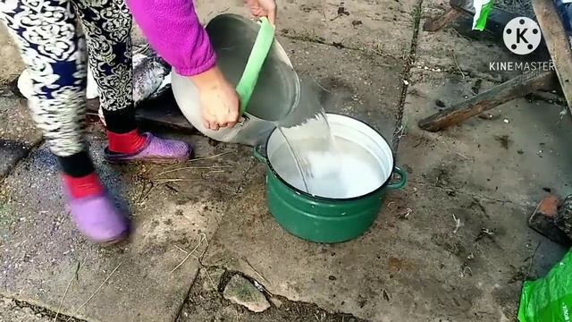 Откорм поросят  Дорогое зерно  Забой уток