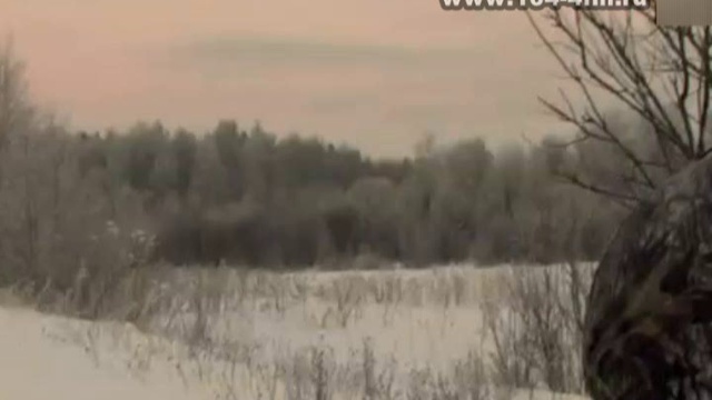 Охота пуще неволи