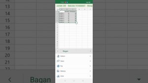 Cara membuat grafik diagram menggunakan Ms. Excel atau Ms. Word di hp Android