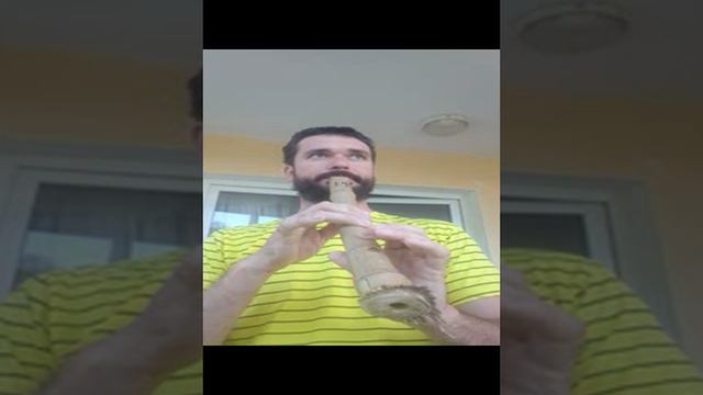 Сякухати корневая флейта в ре