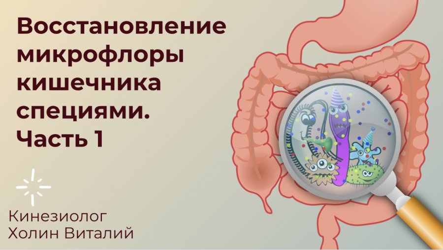 Восстановление микрофлоры травами. Для восстановления микрофлоры кишечника. продукты для восстановления микрофлоры кишечника. восстановление микрофлоры кишечника белом фоне. быстрое восстановление флоры кишечника.
