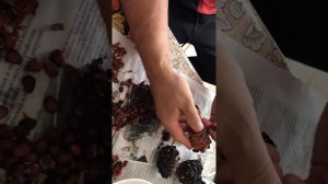 Кедровая шишка. Как очистить?