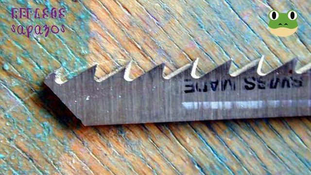 Los Dinosaurios - Episodio 19: Thecodontosaurus (Lagarto con Dientes en Cuencas)