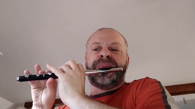 The Apprentice Boy - Basler Piccolo Flute смотреть онлайн