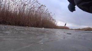 Рыбалка Краснодарский край Каневской район. Ловля тарани со льда 7 декабря!!!