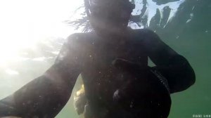 Подводная охота. Горбыль Геленджик.