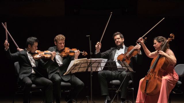 BEETHOVEN Serenade for Flute, Violin and Viola, Op. 25 смотреть онлайн