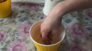 Подготовка черенков фикуса к плетению. Горшки с двойным дном