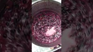 Давим виноград стиральной машинкой