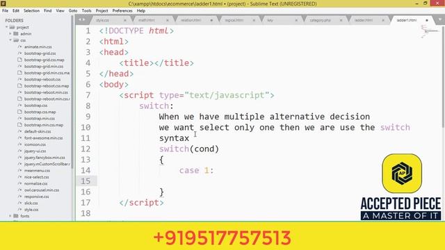 switch statement in java script with example