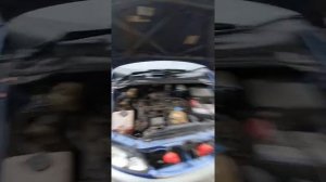 газовые упоры капота ипсум 10