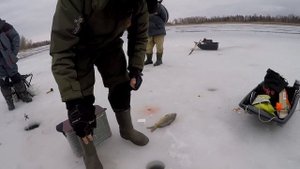 Этот МЕТОД ловит ПАССИВОНОГО КАРПА зимой, Ловля карпа зимой, Карп зимой, Карп