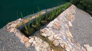 Как построить пруд своими руками. Часть пятая.