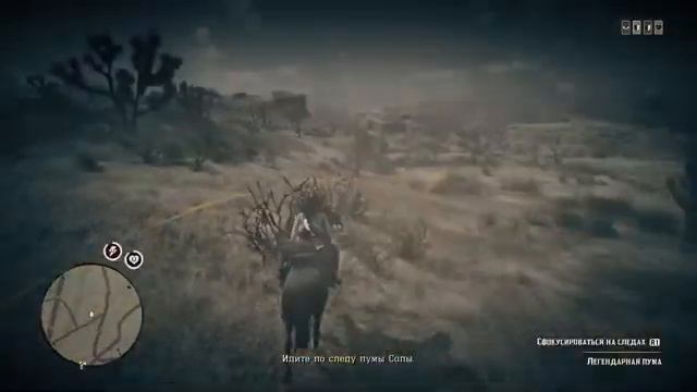 Легендарная пума Сапа (сбор образцов)🐆💉 смотреть онлайн