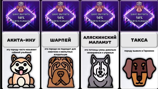? Самые Умные Породы Собак в Мире ?