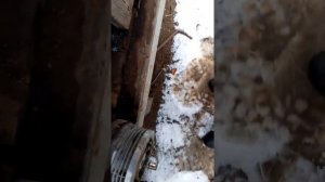 проверка работоспособности обгонной муфты