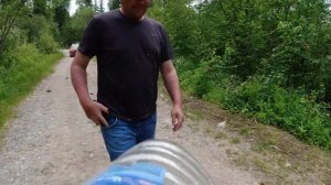 Атака гигантских слепней