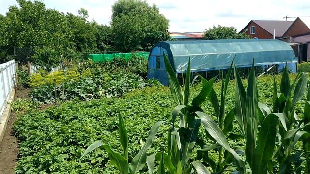 Дача 21-го ВЕКА (1) смотреть онлайн