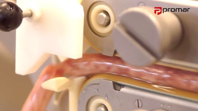 Alginate casings смотреть онлайн