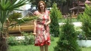 гр.МЕЛОДИЯ - чан гада