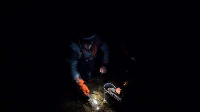 Промышленная добыча хариуса гастарбайтерами! смотреть онлайн