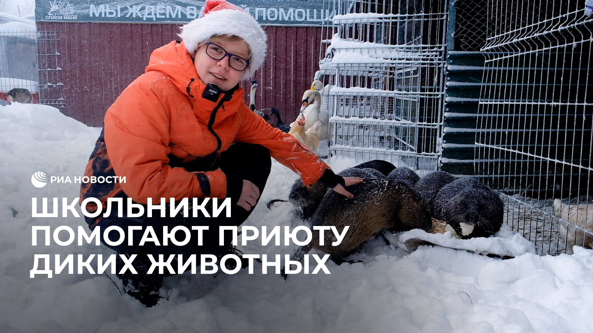 Школьники помогают приюту диких животных