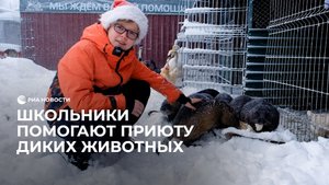 Школьники помогают приюту диких животных